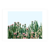 Blush Cactus #society6 #decor #buyart (Print Only) thumbnail