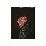 Romantic (Print Only) thumbnail