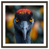 Close Up Of A Strikingly Beautiful Bird Face thumbnail