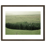 Small forest - Iceland thumbnail
