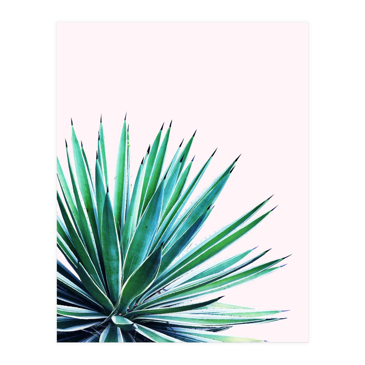 Agave Love #society6 #decor #buyart (Print Only)
