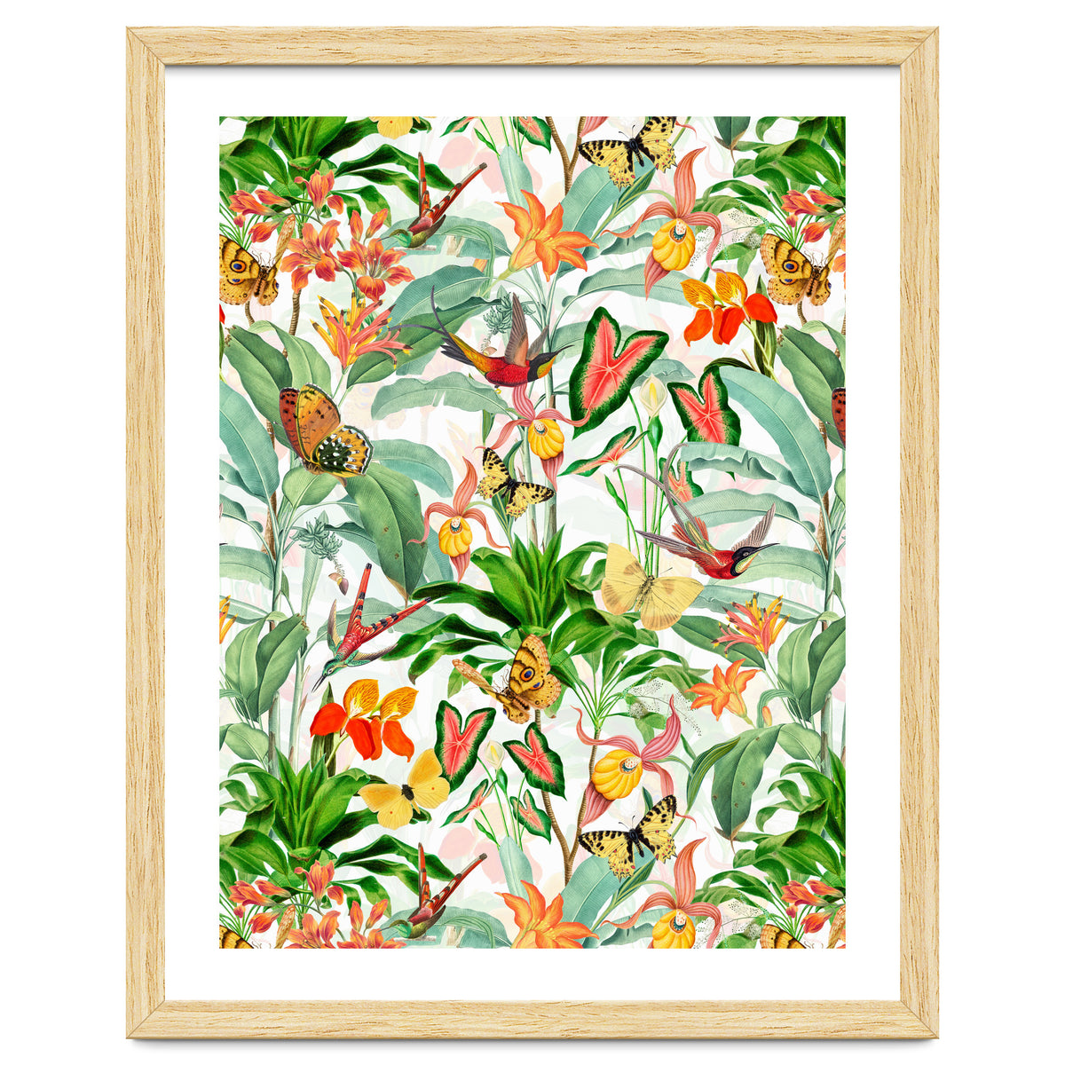 Birds And Butterflies In Tropical Jungle