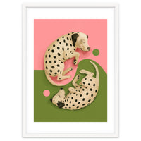 Yin And Yang Dalmatians