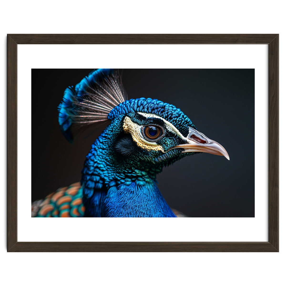 Close Up Peacock Head Blue Green Feather