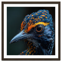 Close Up Of A Colorful Bird Head And Eye