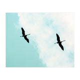 Crane(s) V (Print Only) thumbnail