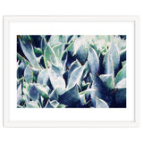 Cactus Garden thumbnail