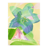 A Peaceful World (Print Only) thumbnail