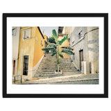 Lisbon Palm Tree thumbnail