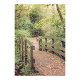 Path To The Bridge (Print Only) thumbnail