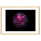 Backyard Flowers No 57 Color Version thumbnail