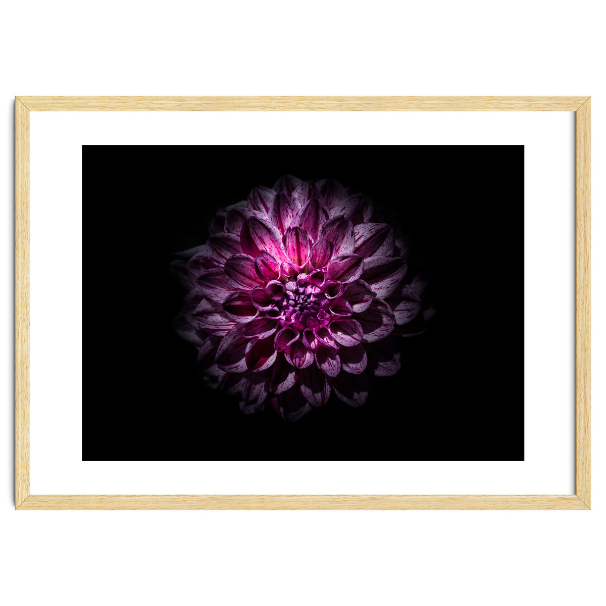 Backyard Flowers No 57 Color Version