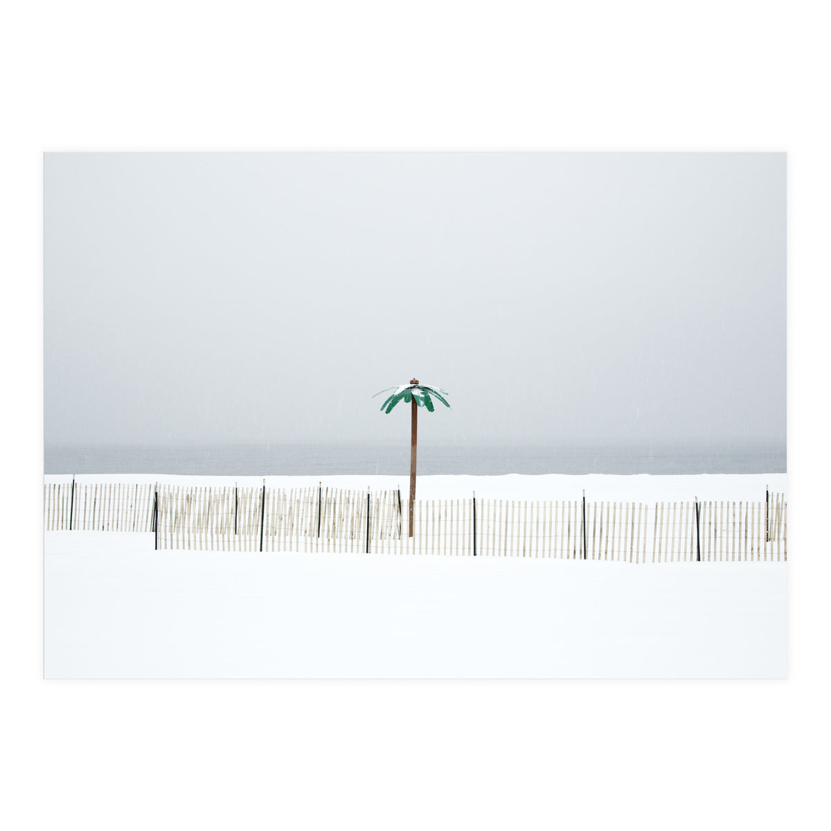 Fake palm tree in the winter snow beach (Print Only)