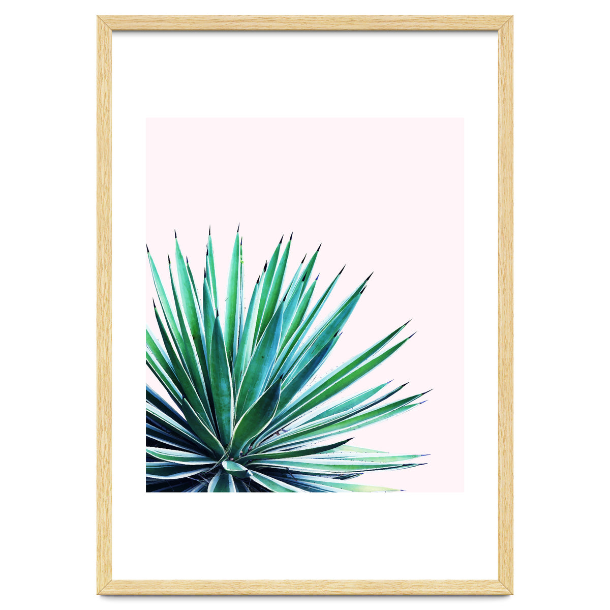 Agave Love #society6 #decor #buyart