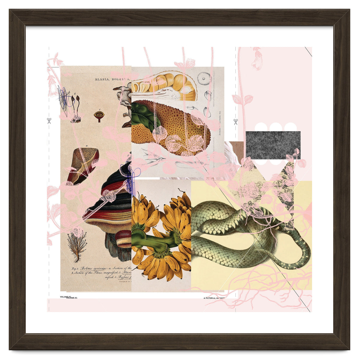 Abstract White Daydream Flower