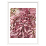 Pink Blossom thumbnail
