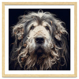 Old Dog 010 thumbnail