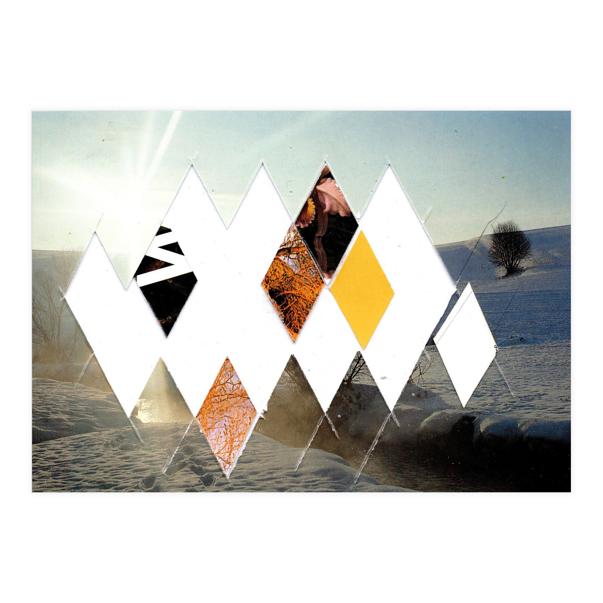 Fragmented · Botschaft Der Pappen??? · Winterimpressionlooklike (Print Only)