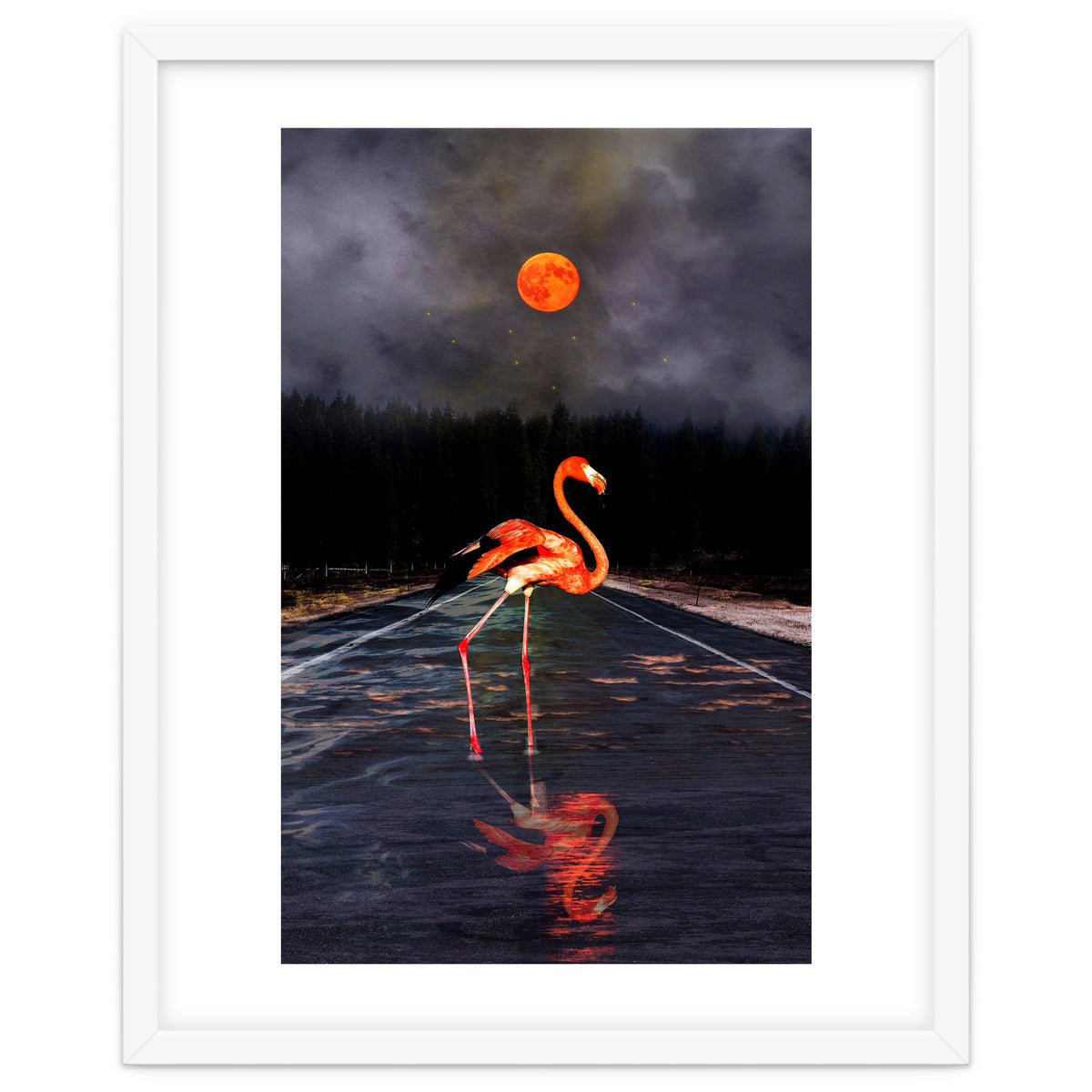 Flamingo and Red Moon