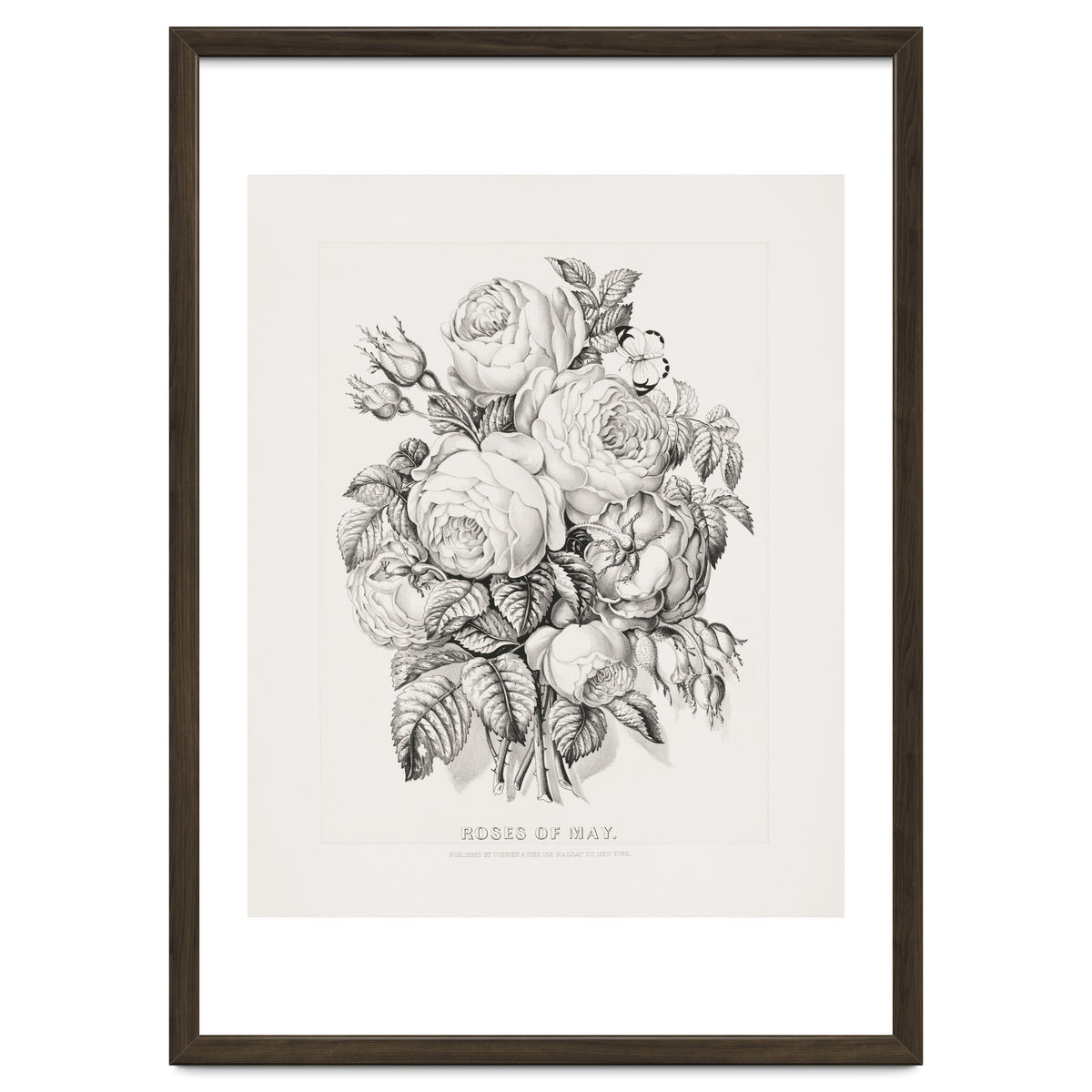 Currier & Ives – Rose of May (1870)