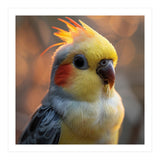 Cockatiel Parrot Portrait With Orange Cheeks (Print Only) thumbnail