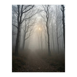 Ethereal Morning Light Breaking Through Dense Forest Fog (Print Only) thumbnail