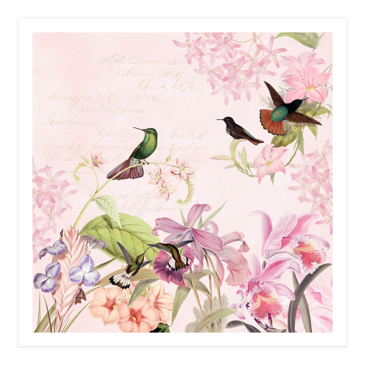 Hummingbirds in Flower Jungle  (Print Only)