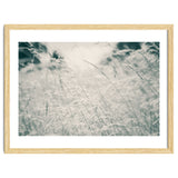 Walking Through Long Grass thumbnail