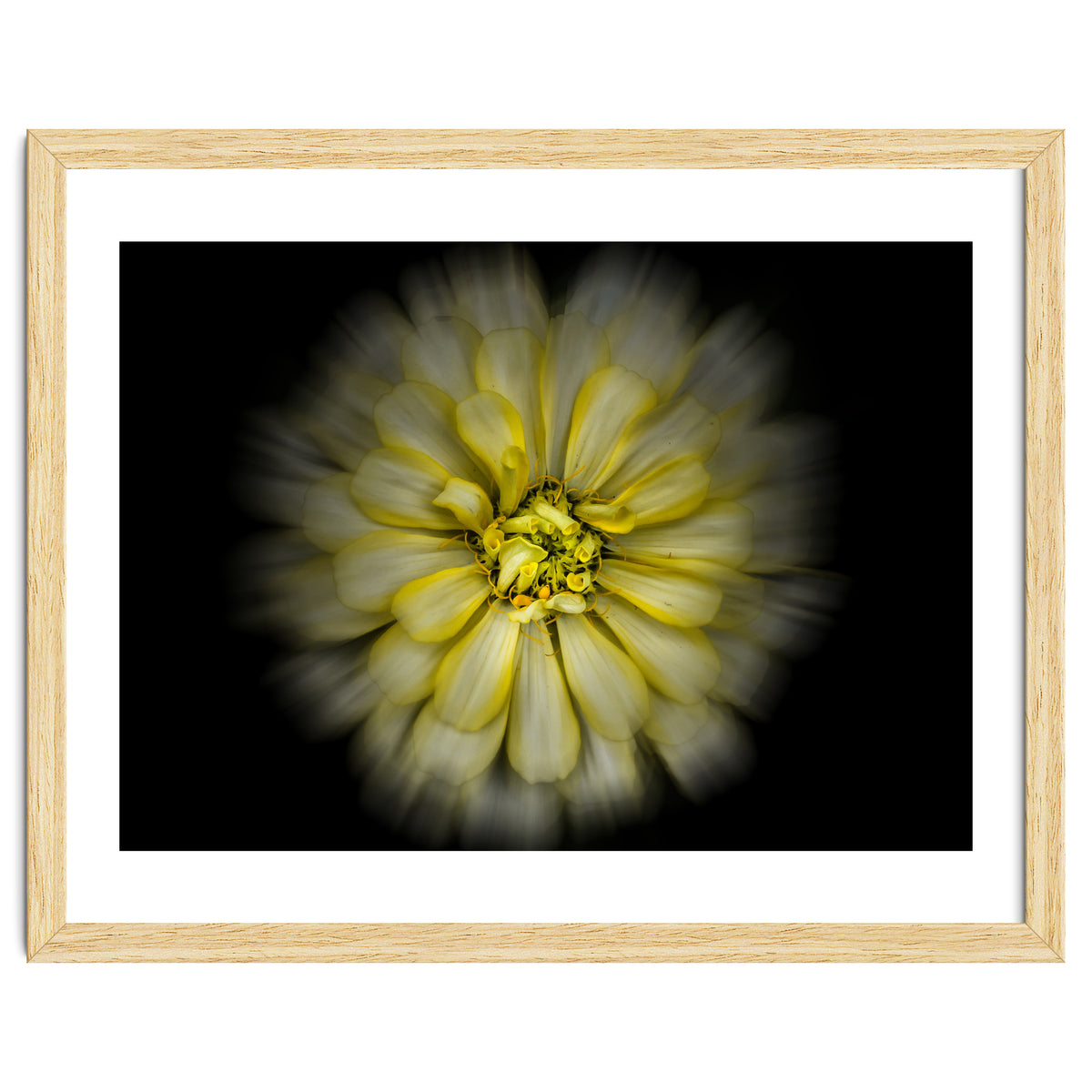 Backyard Flowers No 86 Color Flow Version