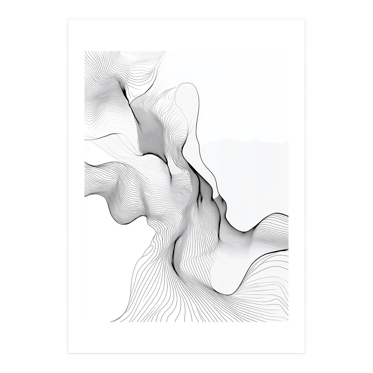 Abstract Black And White Flowing Lines (Print Only)