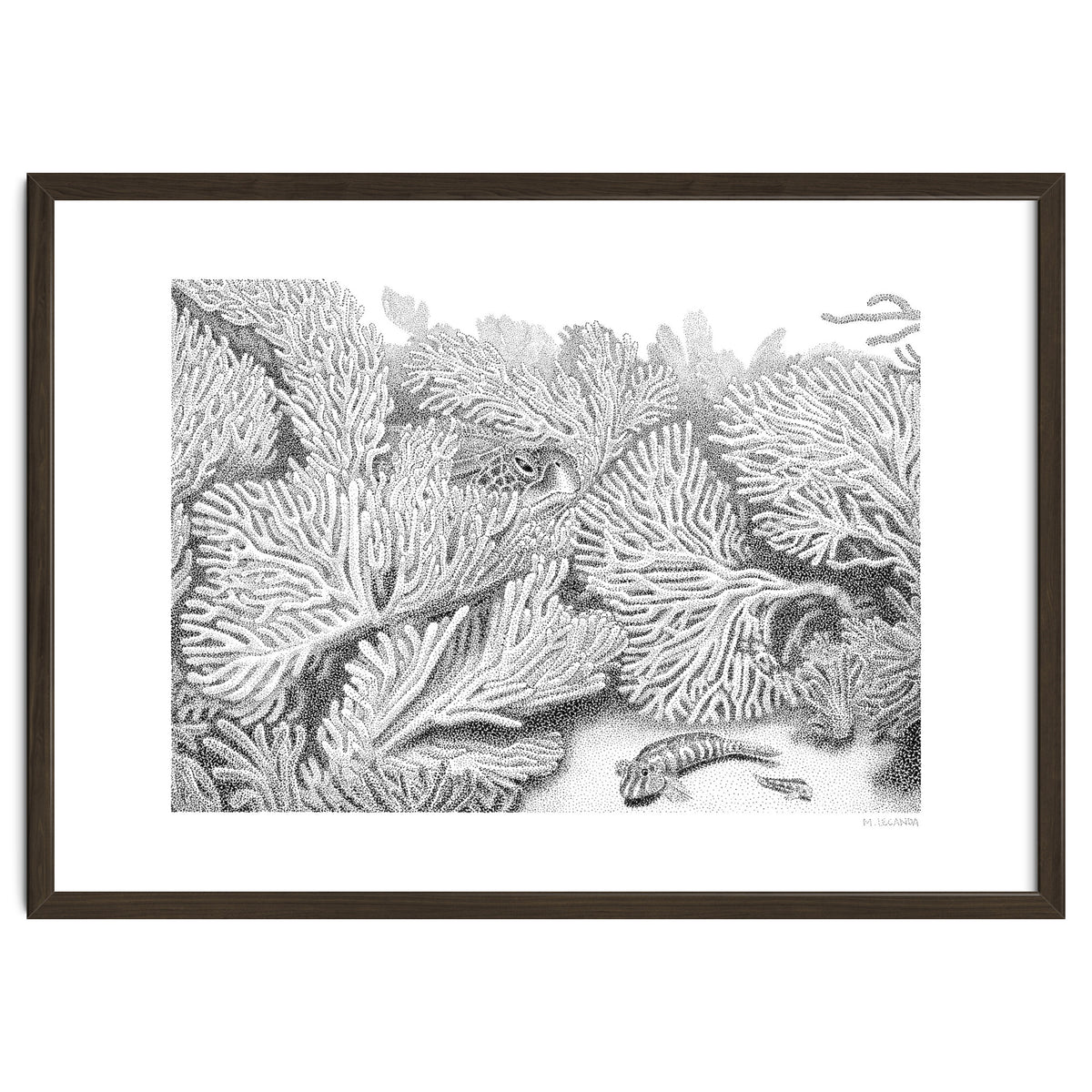 Hidden in plain sight