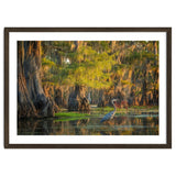 Heron in the swamps thumbnail