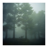 Silence of breath - 10 (Print Only) thumbnail