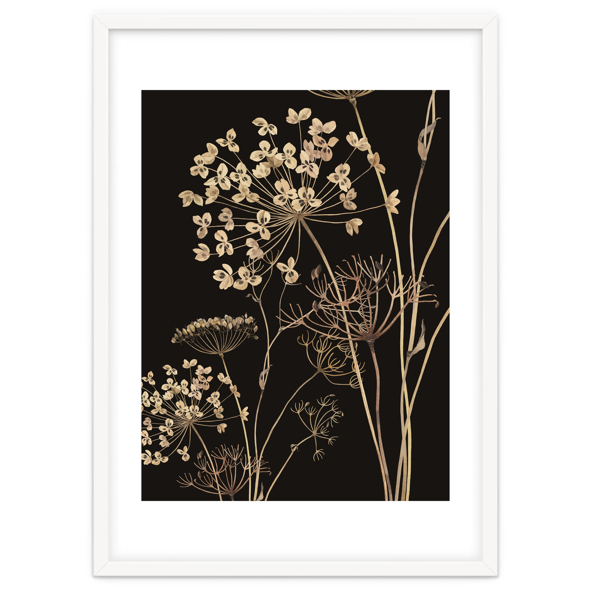 Wildflowers I