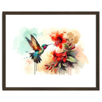 Dance Of Hummingbird And Crimson Flowers
