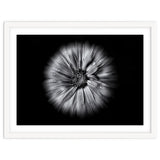 Backyard Flowers In Black And White No 10 Flow Version thumbnail