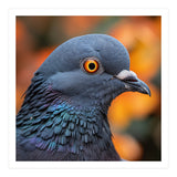 Close Up Of A Pigeon's Head And Neck (Print Only) thumbnail