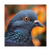Close Up Of A Pigeon's Head And Neck (Print Only)