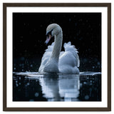 Majestic Swan Swimming In Dark Water thumbnail