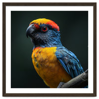 Close Up Colorful Parrot Perched On A Branch