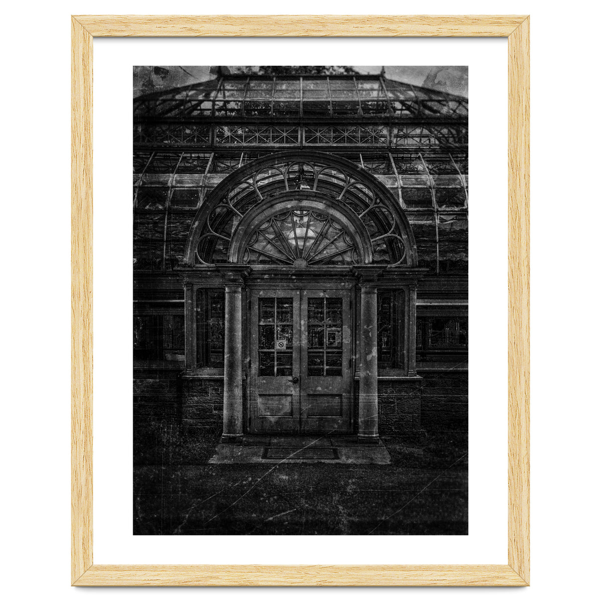 Allan Gardens Conservatory Palm House No 5 Old Film Version