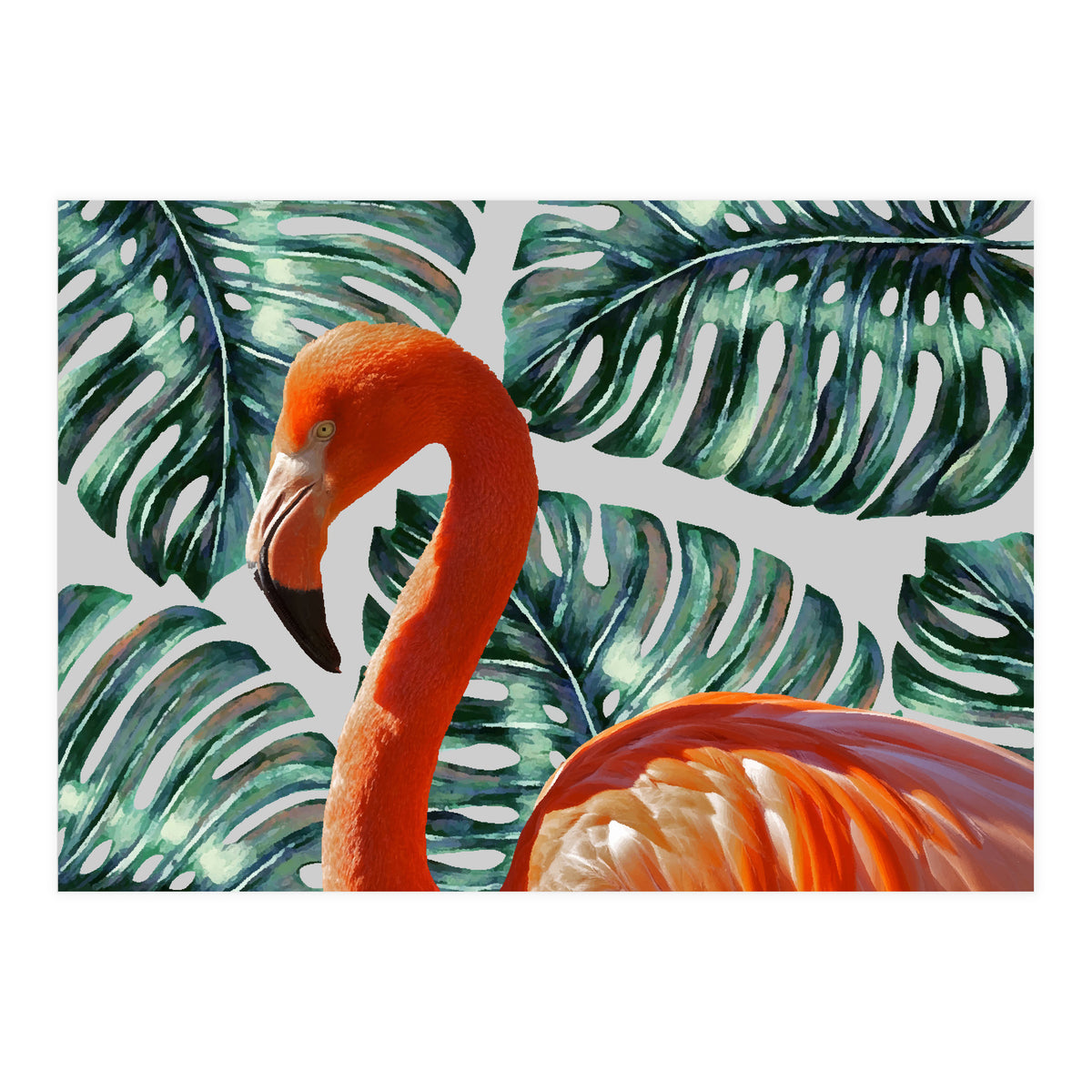 Flamingo Self Portrait (Print Only)