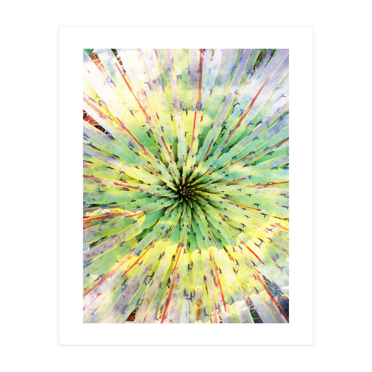 Bitter Sweet (Print Only)