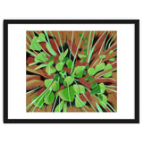 Meadow at spring thumbnail