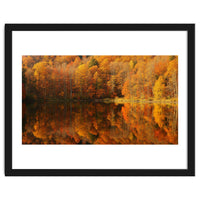 Autumn Reflections