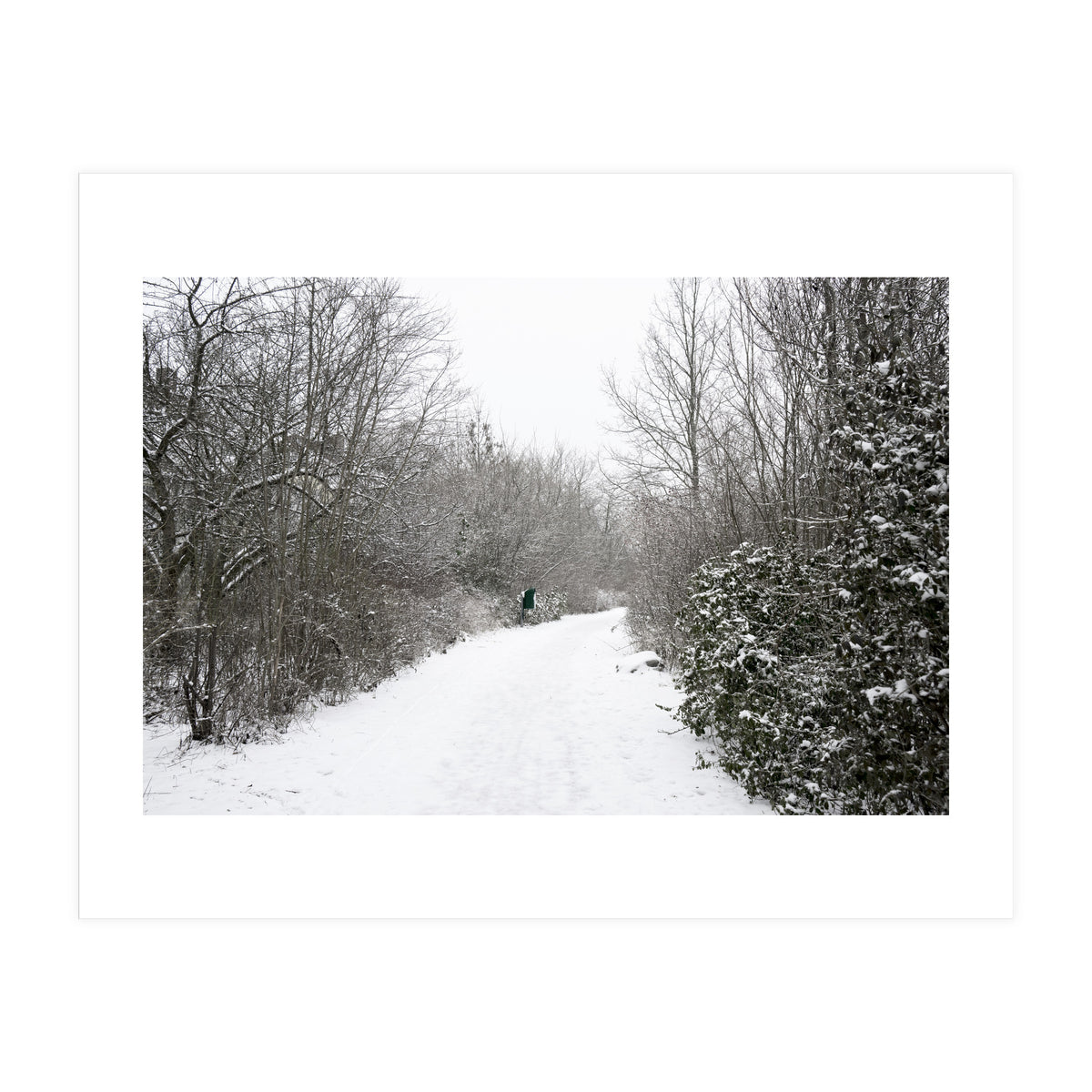 Walking through the snow park (Print Only)