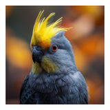 Close-up Portrait of a Yellow Cockatoo in the Wild. (Print Only) thumbnail