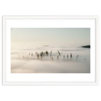 Misty Peaks: Pine Forest Above the Clouds