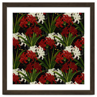 Red and White Spider Lily Flower Print Elegant Botanical Japanese Inspired Floral Artwork