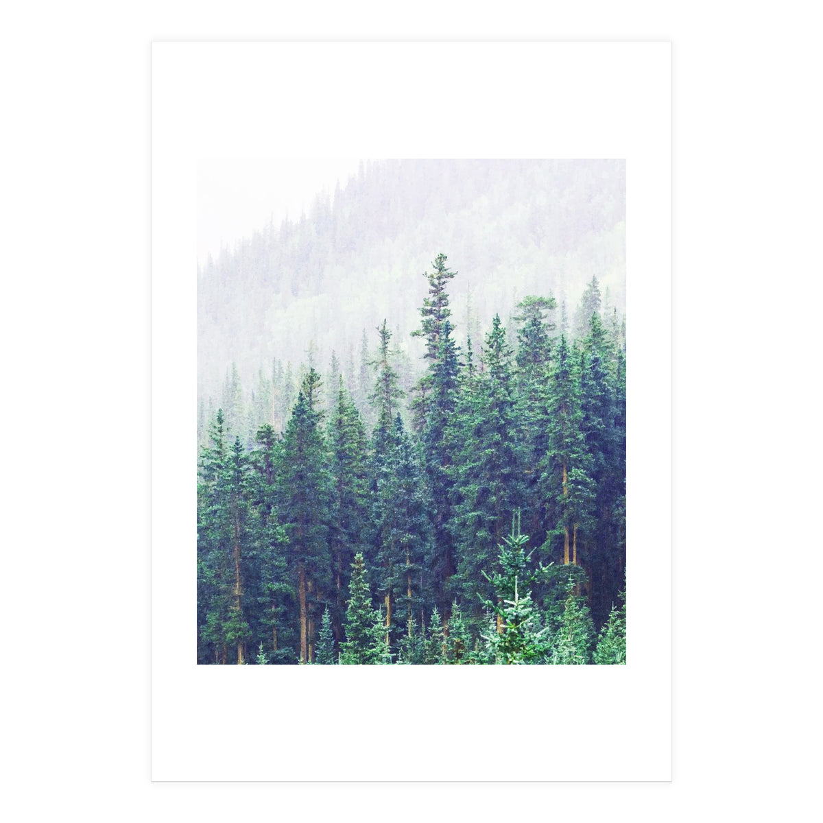 Concept & Energy (Print Only)